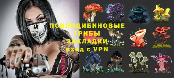 индика Бугульма