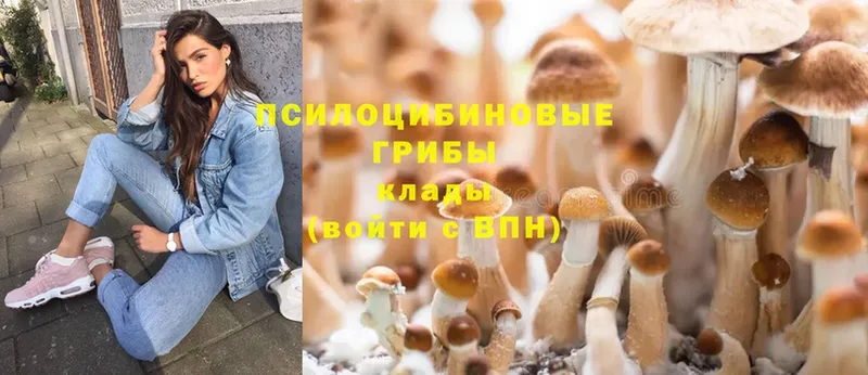 где купить   ОМГ ОМГ рабочий сайт  Галлюциногенные грибы Magic Shrooms  Орехово-Зуево 